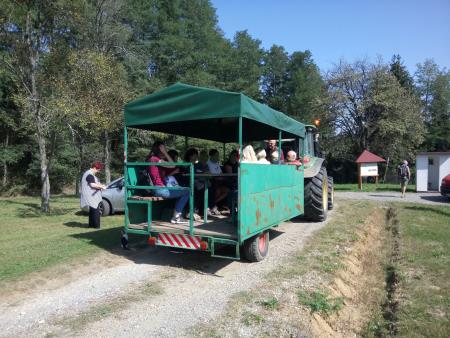 Evropski teden mobilnosti in projekt lokalna kakovost za globalno uspešnost 29